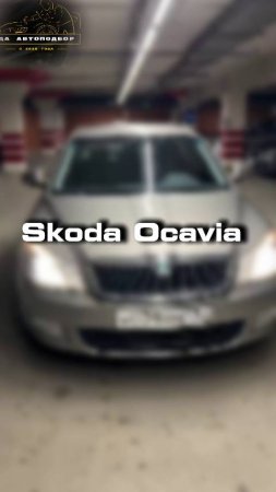 Проверили для клиента Skoda Octavia