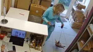 Обычный день в Питере: женщина пришла в ПВЗ с чайкой на поводке.

Ничего необычного.
