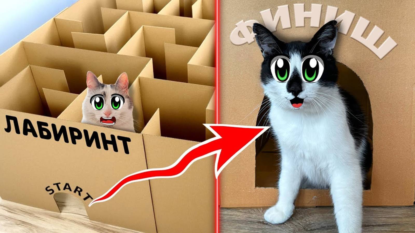 Построили Гигантский КАРТОННЫЙ ЛАБИРИНТ ! Экстремальный ПОБЕГ ЧЕЛЛЕНДЖ для КОТОВ А ну-ка Давай-ка