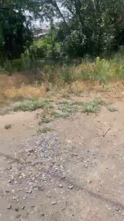 Бесплатные курсы обучения на бетононасос