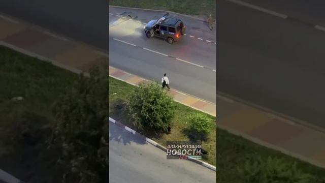 Стая бродячих собак пыталась напасть на ребенка в Белгороде. 

Трагедии удалось избежать благодаря в