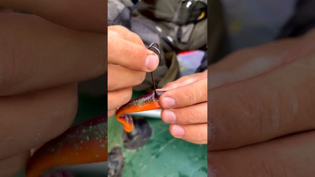 Как оснастить силикон двойным крючком