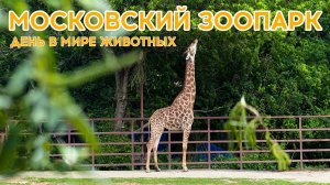 МОСКОВСКИЙ ЗООПАРК - День в мире животных