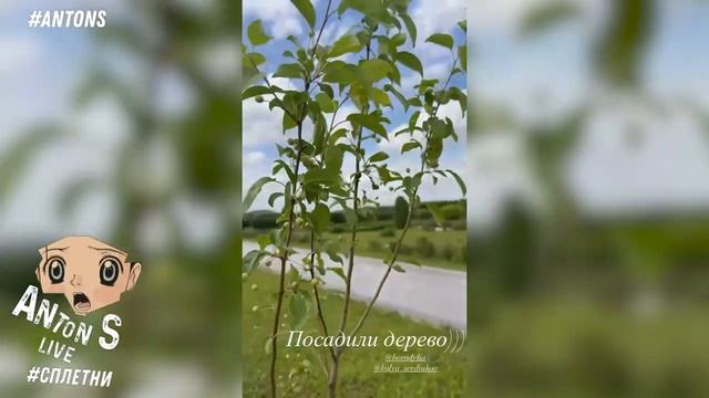 Антон S перезалив ‼️27-06-2025Успенская мне угрожает. Муж Бородины красные флаги. Кукушкин