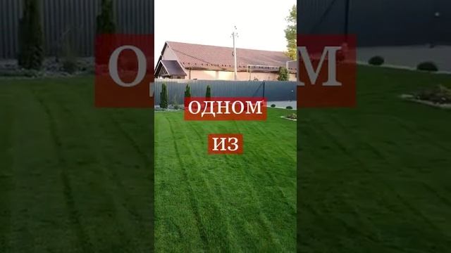 Строительство домов