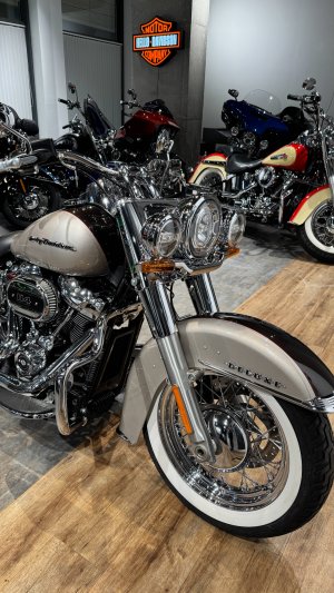 2018 Deluxe (Silver Fortune/Sumatra Brown)