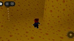 побег из сыра