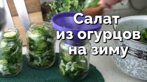 Салат из огурцов на зиму. Очень вкусно и легко. Рецепт консервирования огурцов