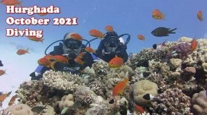 October 2021, Hurghada, Diving