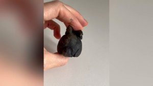 Зайчик из лабрадора