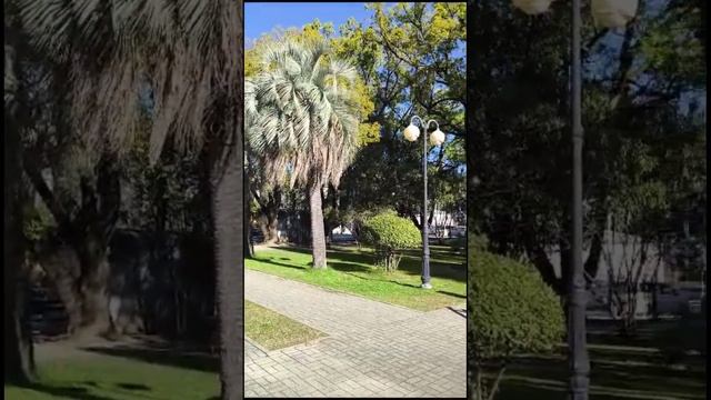 Набережная Сухума Парк