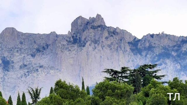 КРАСКИ КРЫМСКОГО ЛЕТА!🌞💐🌸 июнь 2024г смотреть онлайн