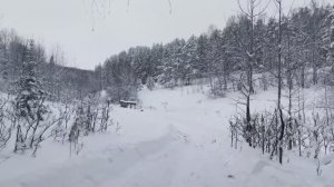 ОЛИГАРХИ НА ОХОТЕ 2 _ МОРОЗ -43 _ ТУРНИР ВОЛКОВСКОГО ОХОТХОЗЯЙСТВА ПО КАБАНУ _ 4