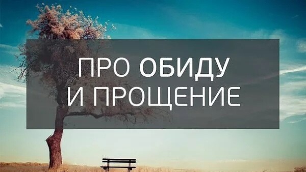 Мудрые цитаты и афоризмы☝🤓