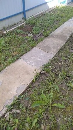 приехали в смоленск
