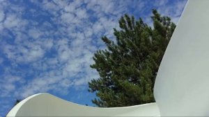 Джейн кравинтц 25.06.25