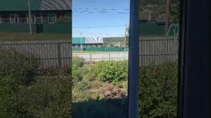 КОТ СТЁПКА. ПРЯМОЙ ЭФИР