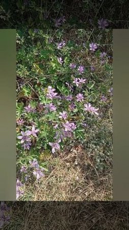 У РУССКИХ БОЛЬШЕ ВСЕГО КОМПЛЕКСОВ♾️