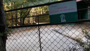 Ялта, зоопарк Сказка, зебры Крым и Россия. Ну дайте мне чего нибудь! 😃