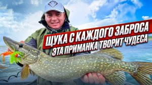 ЭТО НЕ СОН! ЩУЧЬЕ ЭЛЬДОРАДО НАЙДЕНО!