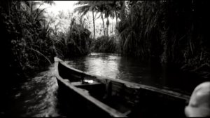 Дивный мир (Tobie się śni)