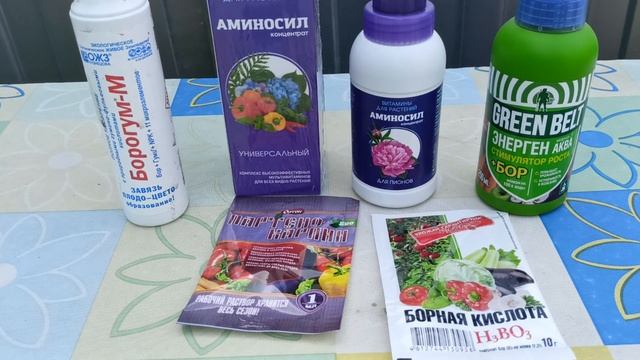 Как сохранить завязь на томатах, перцах и баклажанах – проверенные методы против осыпания! 🍅🌶️🍆
