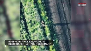 26.6.Военная хроника.События дня.
📰Новости:
▪️🇹🇷🇺🇸🇷🇺Эрдоган заявил, что Трамп выразил…🔽🔽🔽