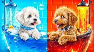Строим секретную комнату для животных! Огонь vs Вода