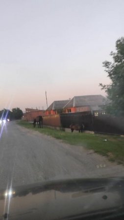 Гойты