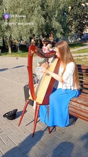 что за милое создание. Архив лето 2024 #моменты #мелодия #сортавала #карелия #лето #музыка