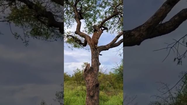 1000089376.mp4