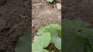 1000022810.mp4