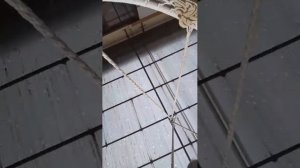 я скачал Бена
