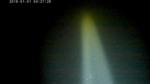 жд мост боровое дерево