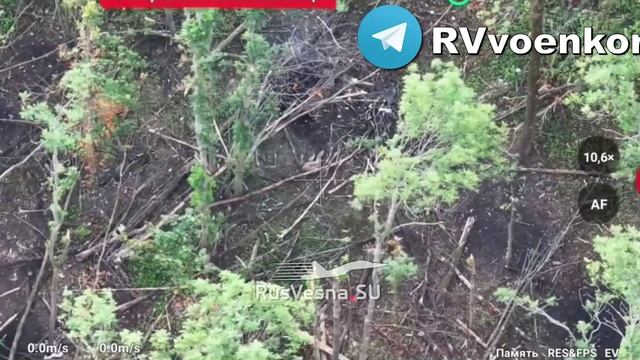 🇷🇺💥🇺🇦 Бои в лесах: десант уничтожает пехоту ВСУ, наступая в Сумской области !!!