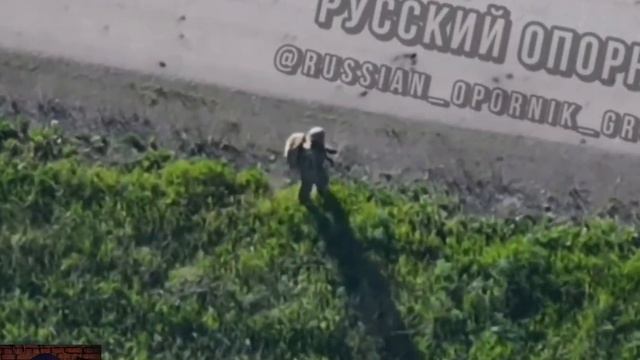 Фашист ВСУ не смог уйти от наказания