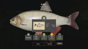 Русская рыбалка 4 трофейный Язь на озере Медное