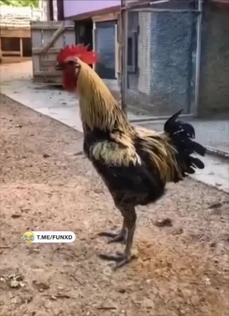 Доброе утро!😅