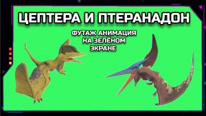 ЛЕТАЮЩИЕ ДИНОЗАВРЫ ЦЕПТЕРА И ПТЕРАНАДОН видео GREEN SCREEN футаж. ХРОМАКЕЙ АНИМАЦИЯ динозавры на зел