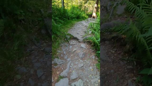Водопад Третья речка. Телецкое. с комментариями