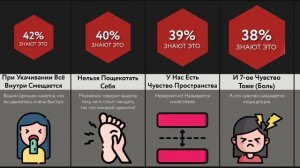 Секреты Нашего Тела