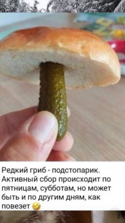 Шучу о грибе