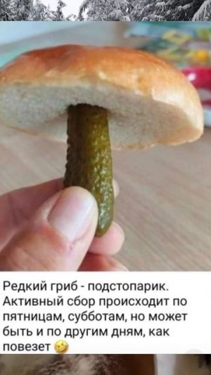 Шучу о грибе
