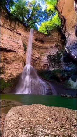 Шакуран Водопад шортс