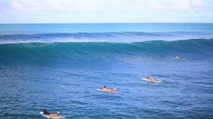 The Girls Surf Hawaii (2025)
Eimy’s Hawaii Happy life 🏄🏻
8 мар. 2025 г.