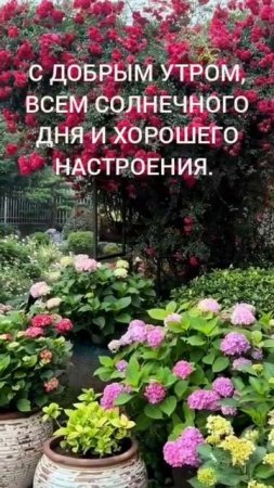 1000005015.mp4  с ДОБРЫМ утром