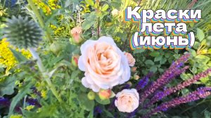 Краски лета (июнь)