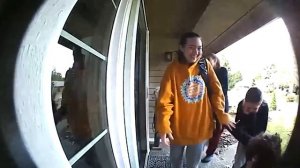 NEW! BRAIN TIME.  Funniest Security Camera Fails