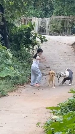 Извини, подруга, я одолжу ненадолго