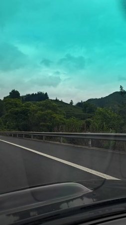 road tea2